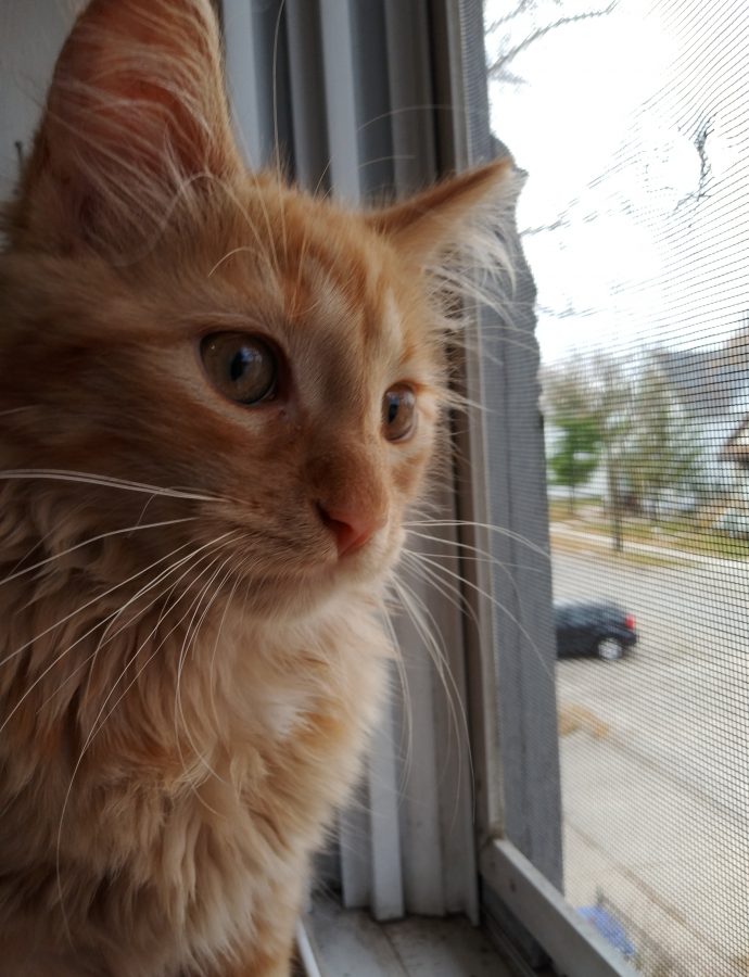 Favorite spot?