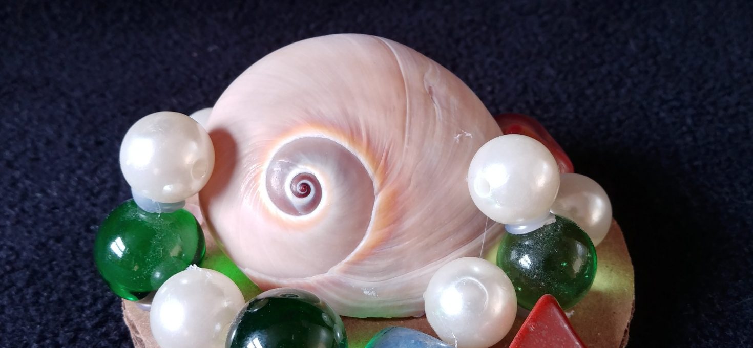 Shell Paper weight
