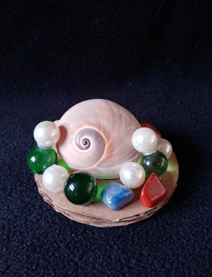 Shell Paper weight
