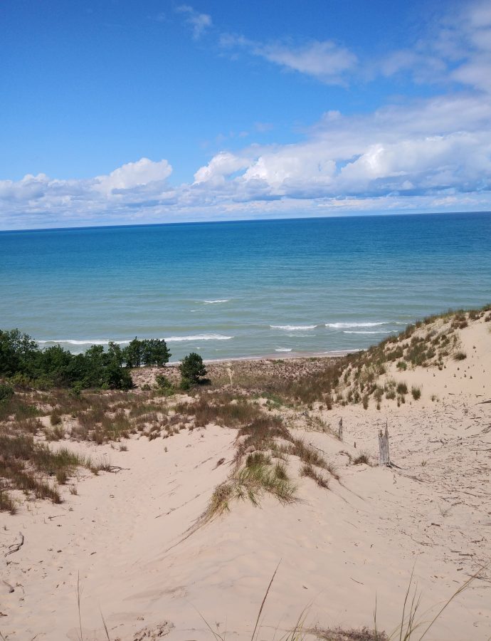 Beach View
