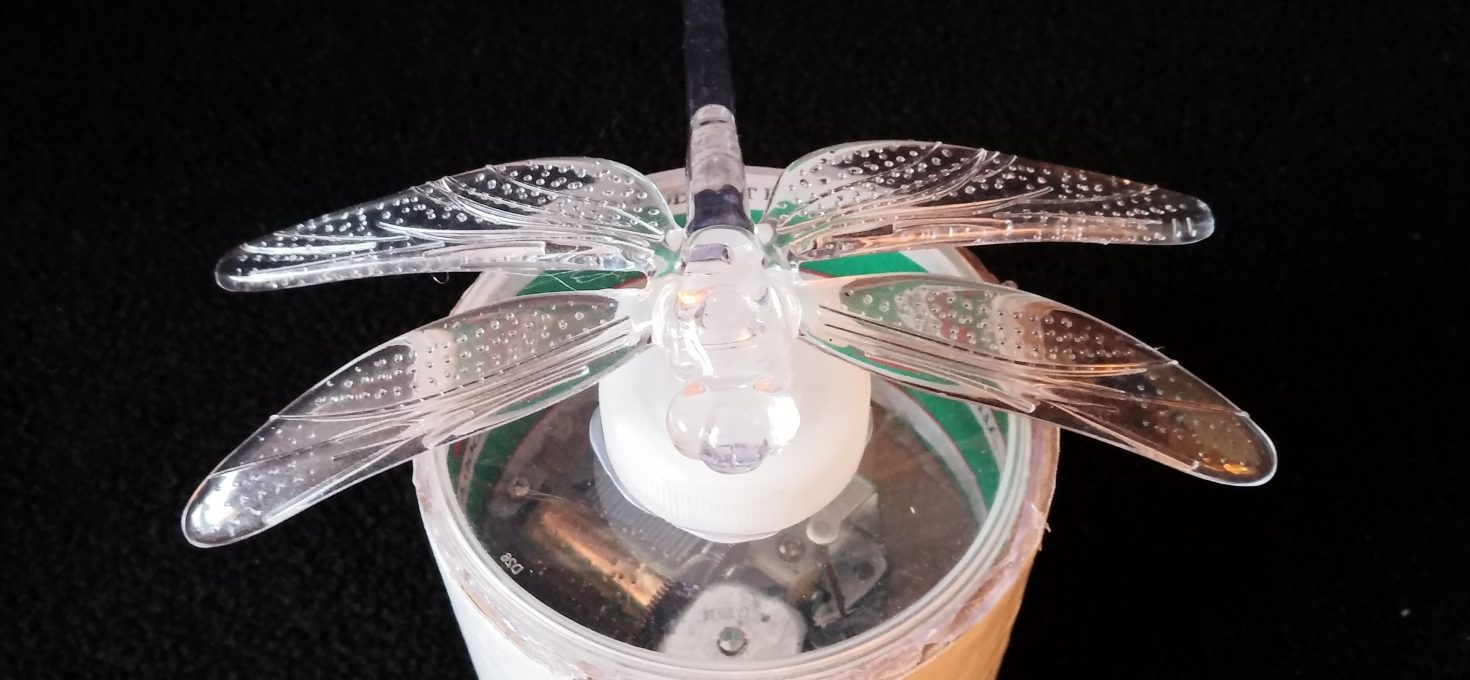 Dragonfly music box