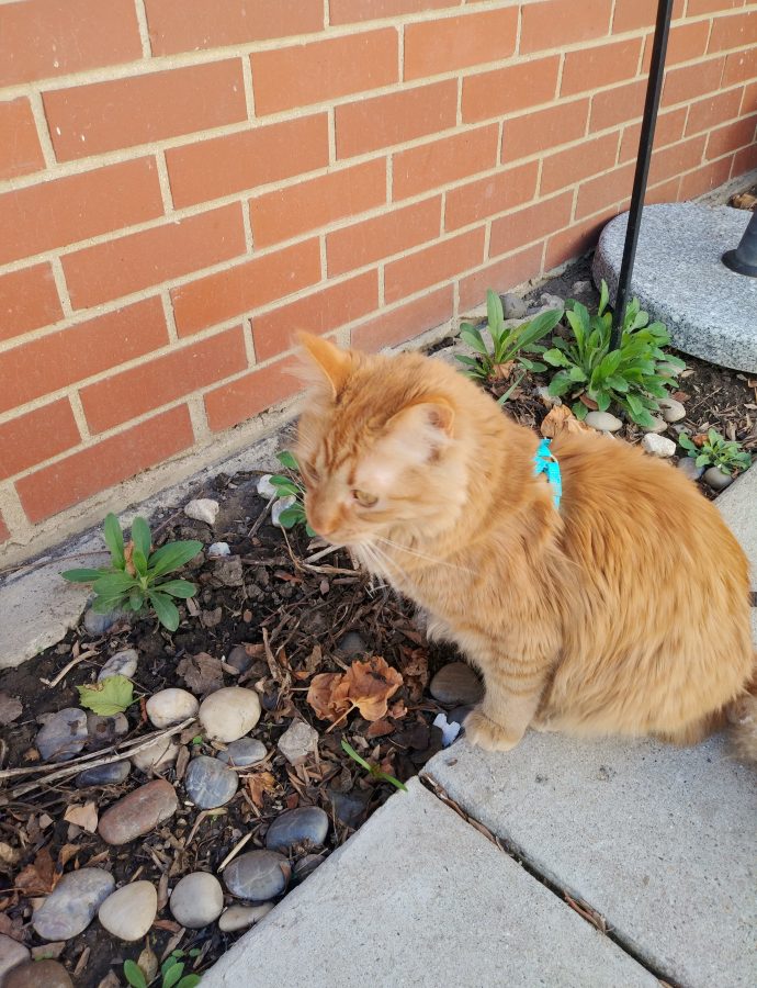 Outside time with oliver